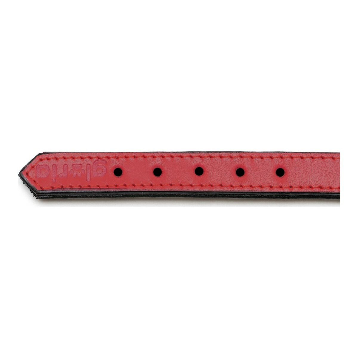 Gloria Padded Red Dog collar