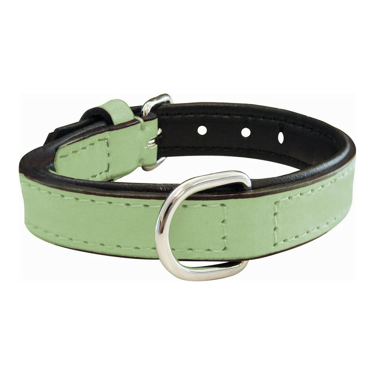 Gloria Padded Green Dog collar
