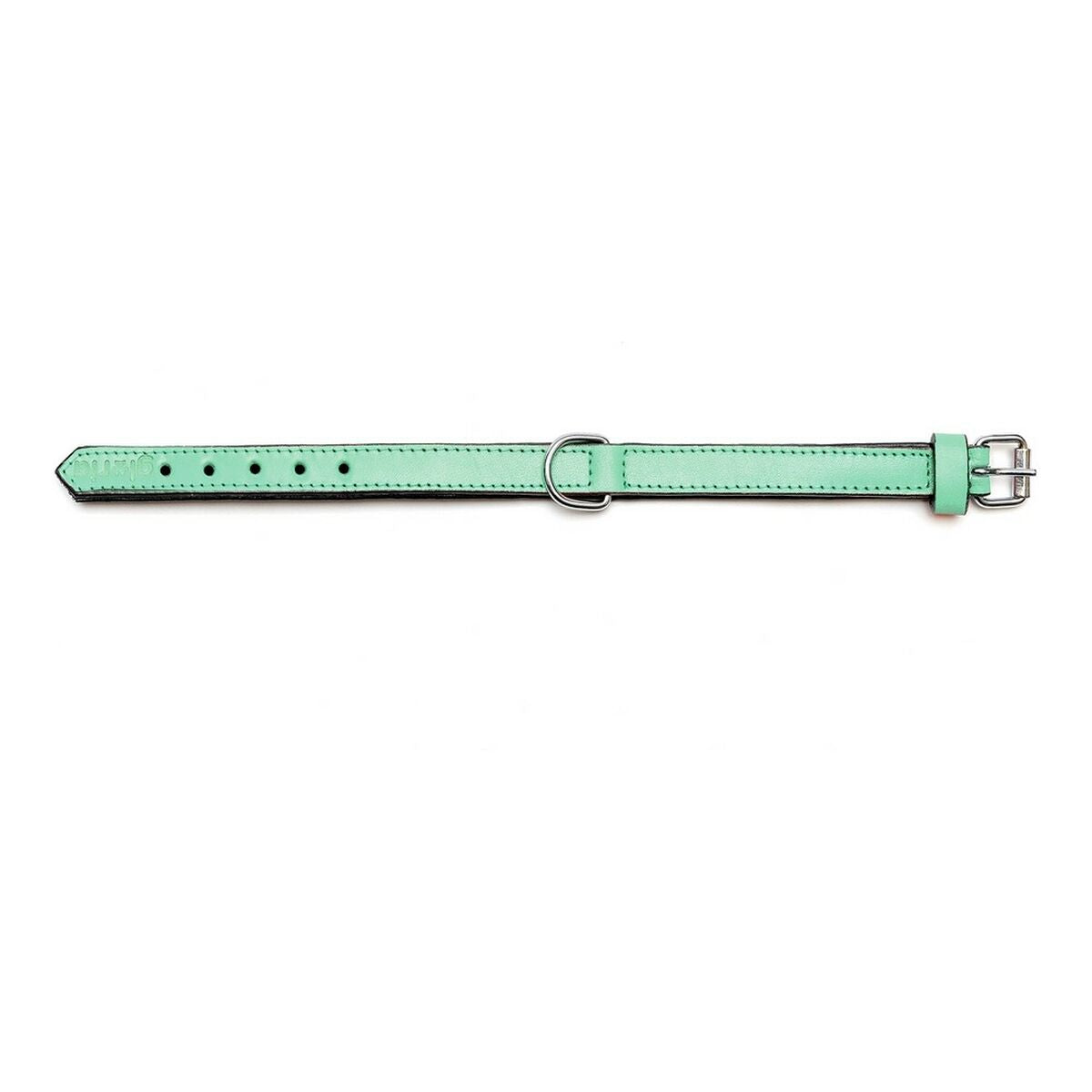 Gloria Padded Green Dog collar