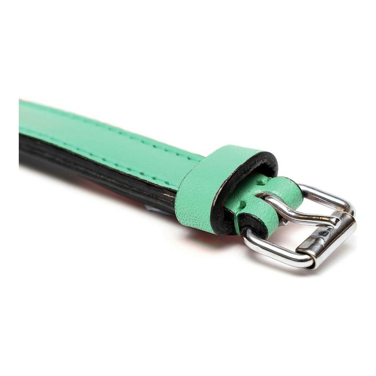 Gloria Padded Green Dog collar