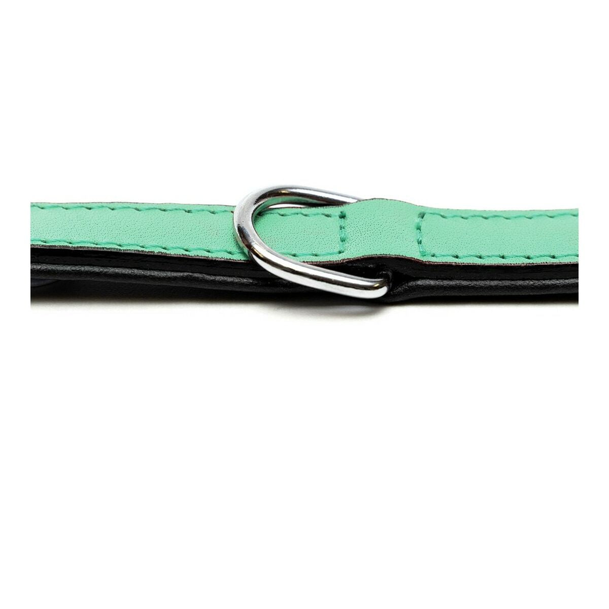 Gloria Padded Green Dog collar