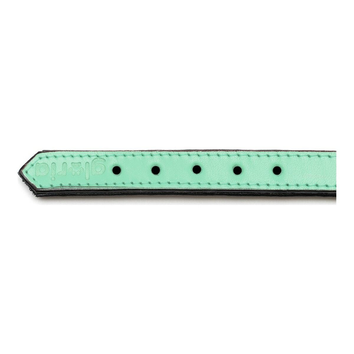 Gloria Padded Green Dog collar