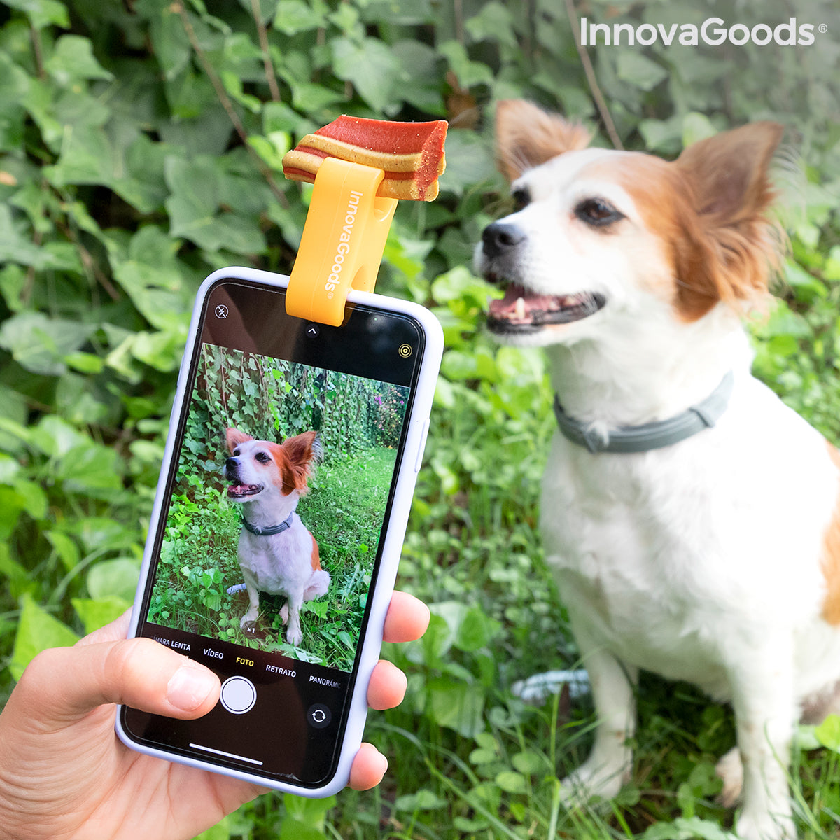 Selfie Clip for Pets