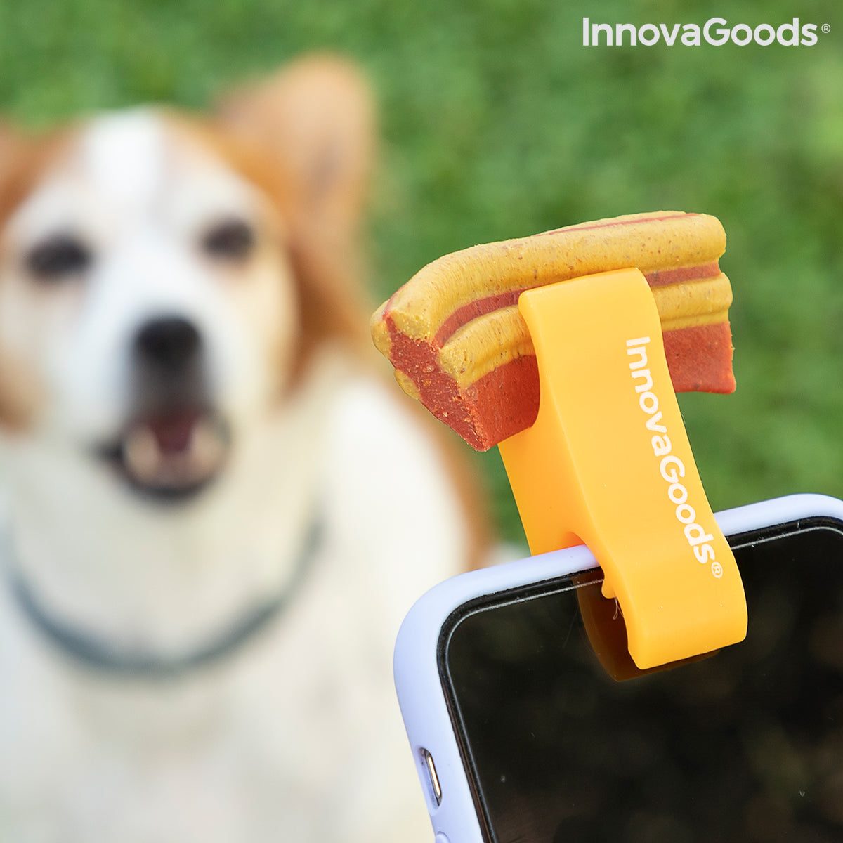 Selfie Clip for Pets