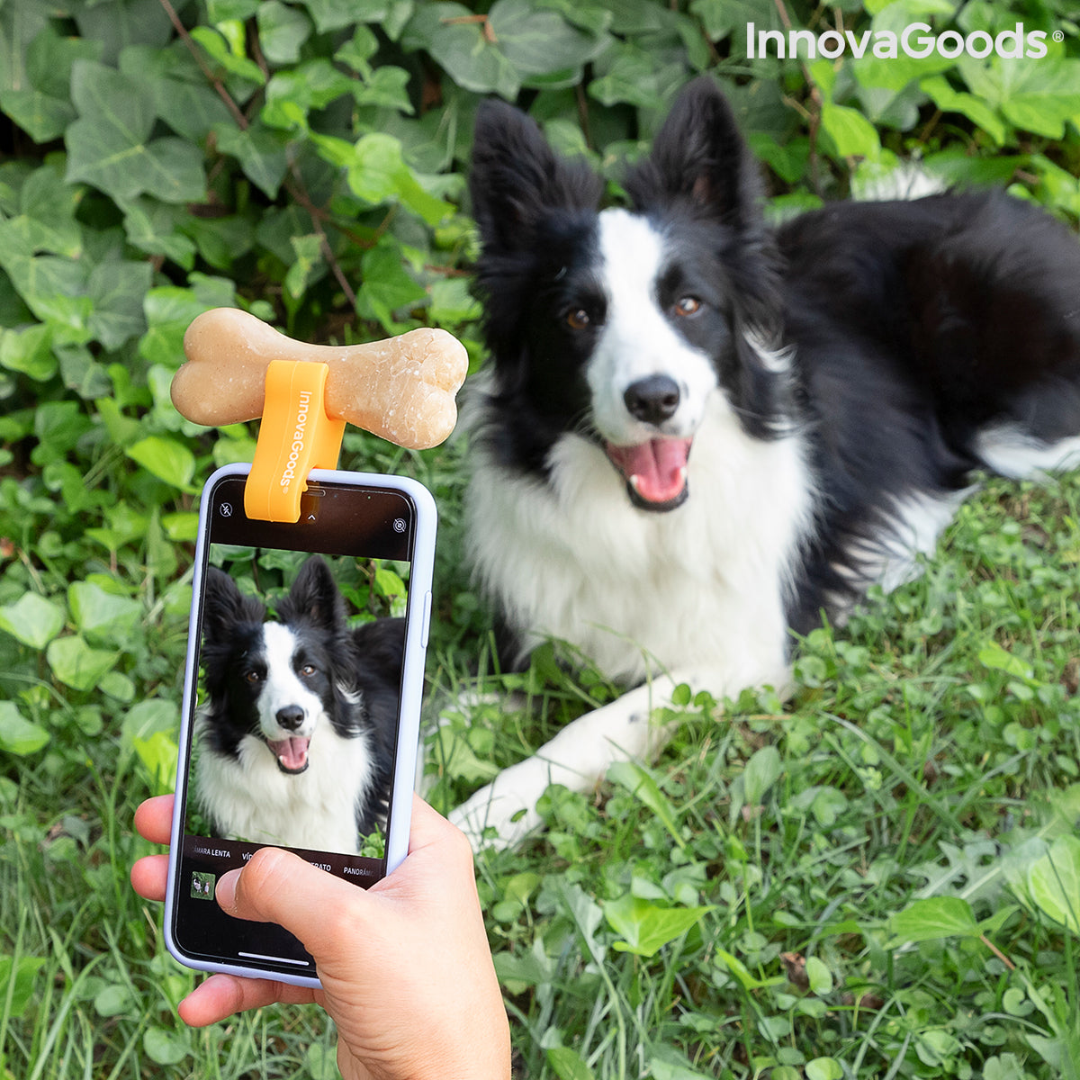 Selfie Clip for Pets
