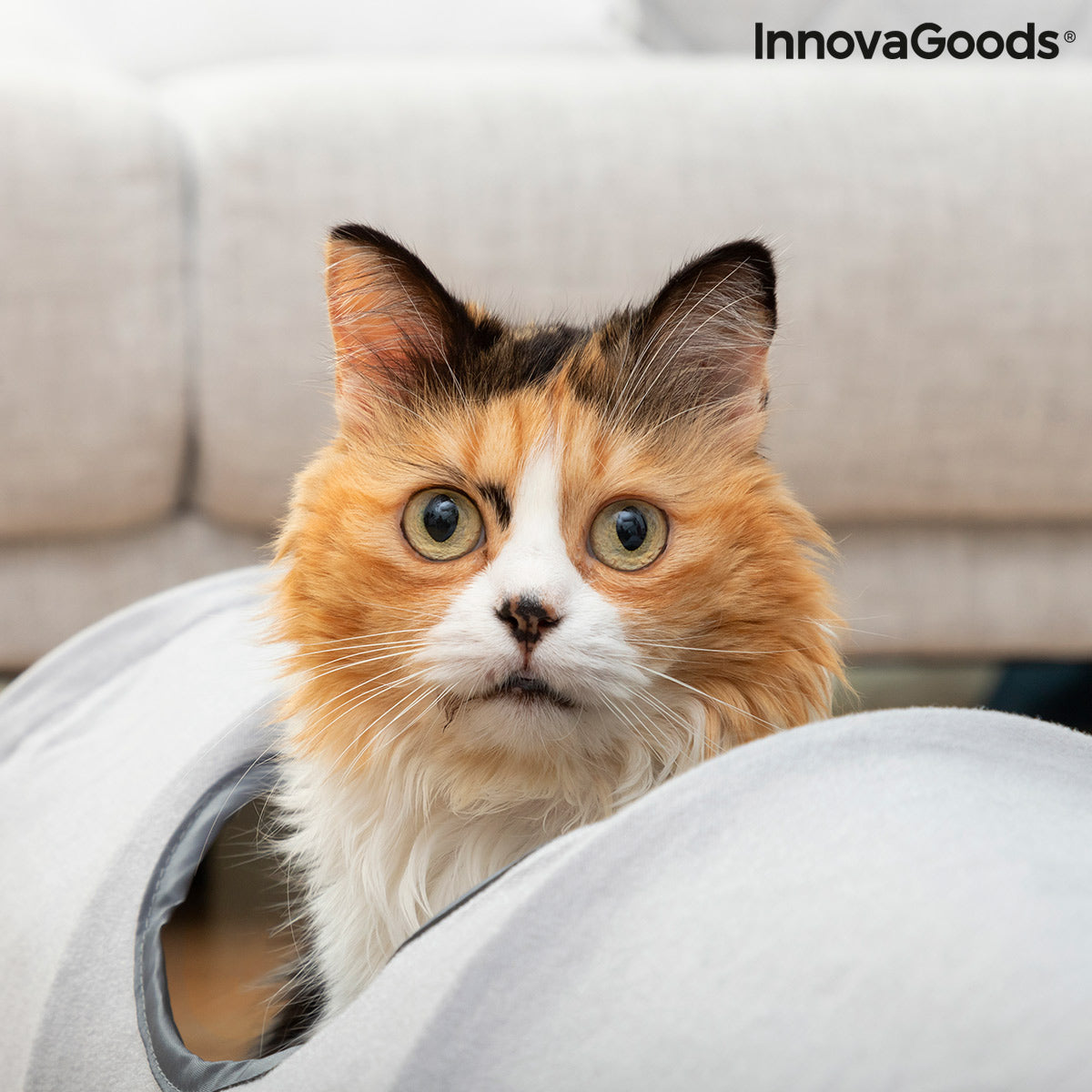 Collapsible Pet Tunnel Funnyl