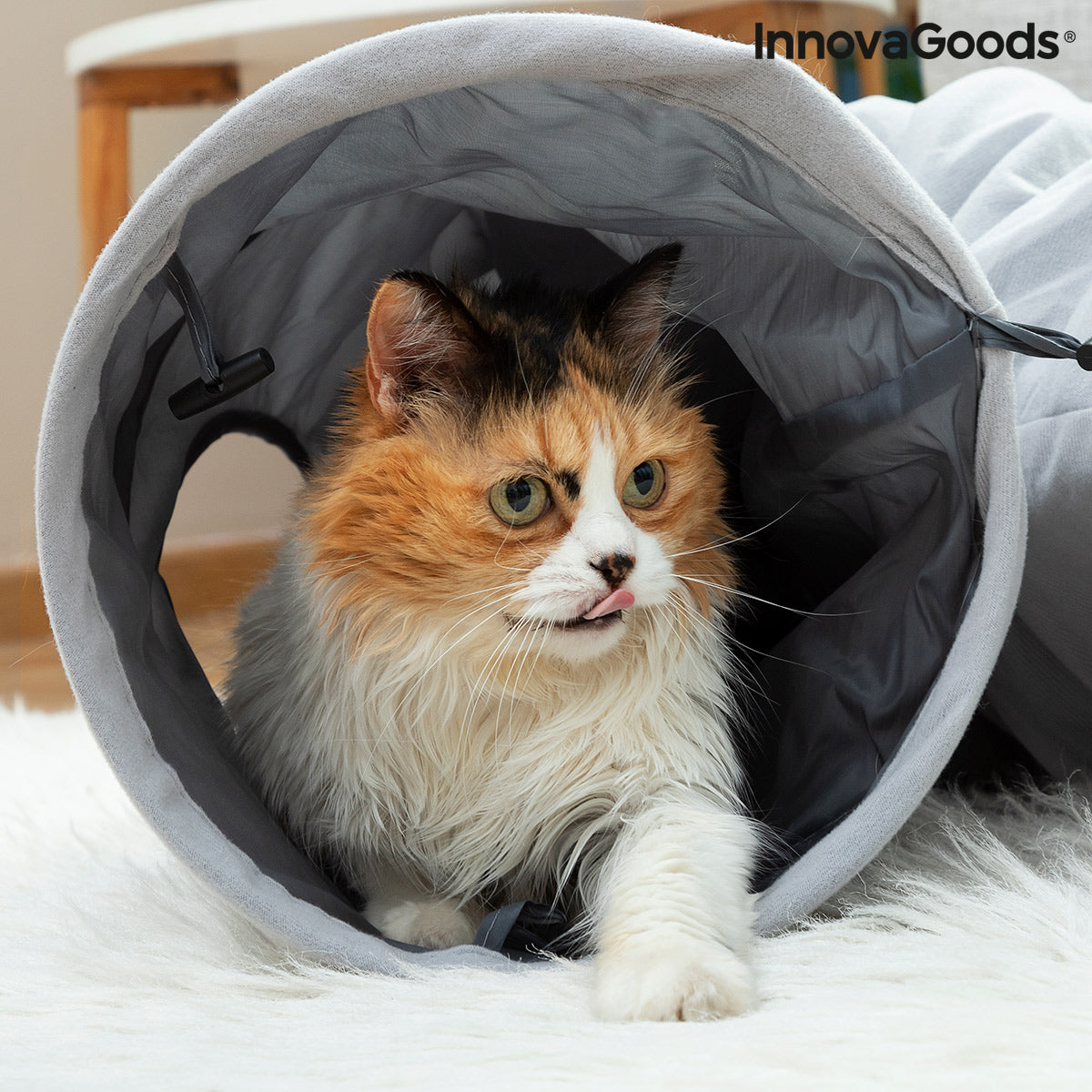 Collapsible Pet Tunnel Funnyl