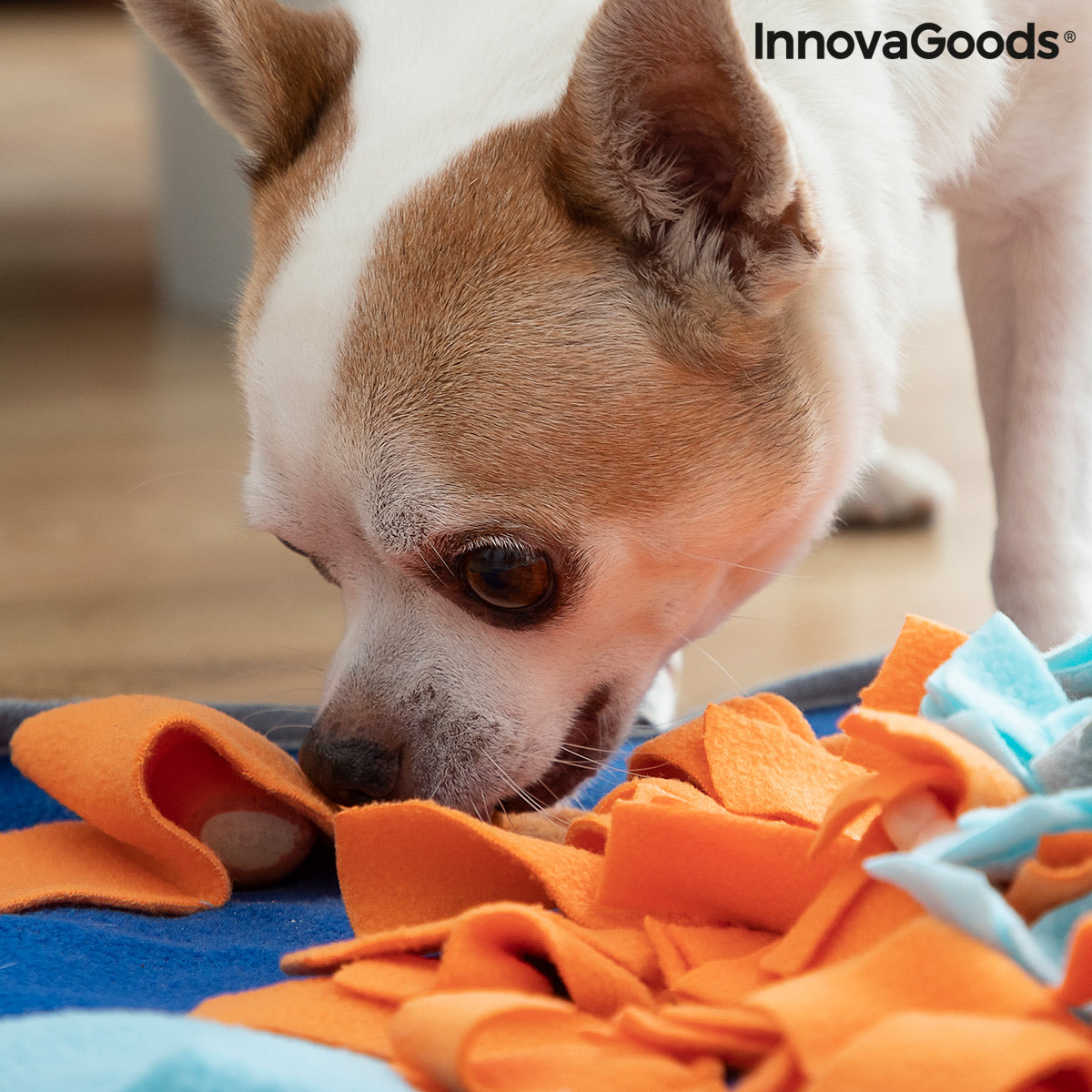 Sniffing Mat for Pets Fooland