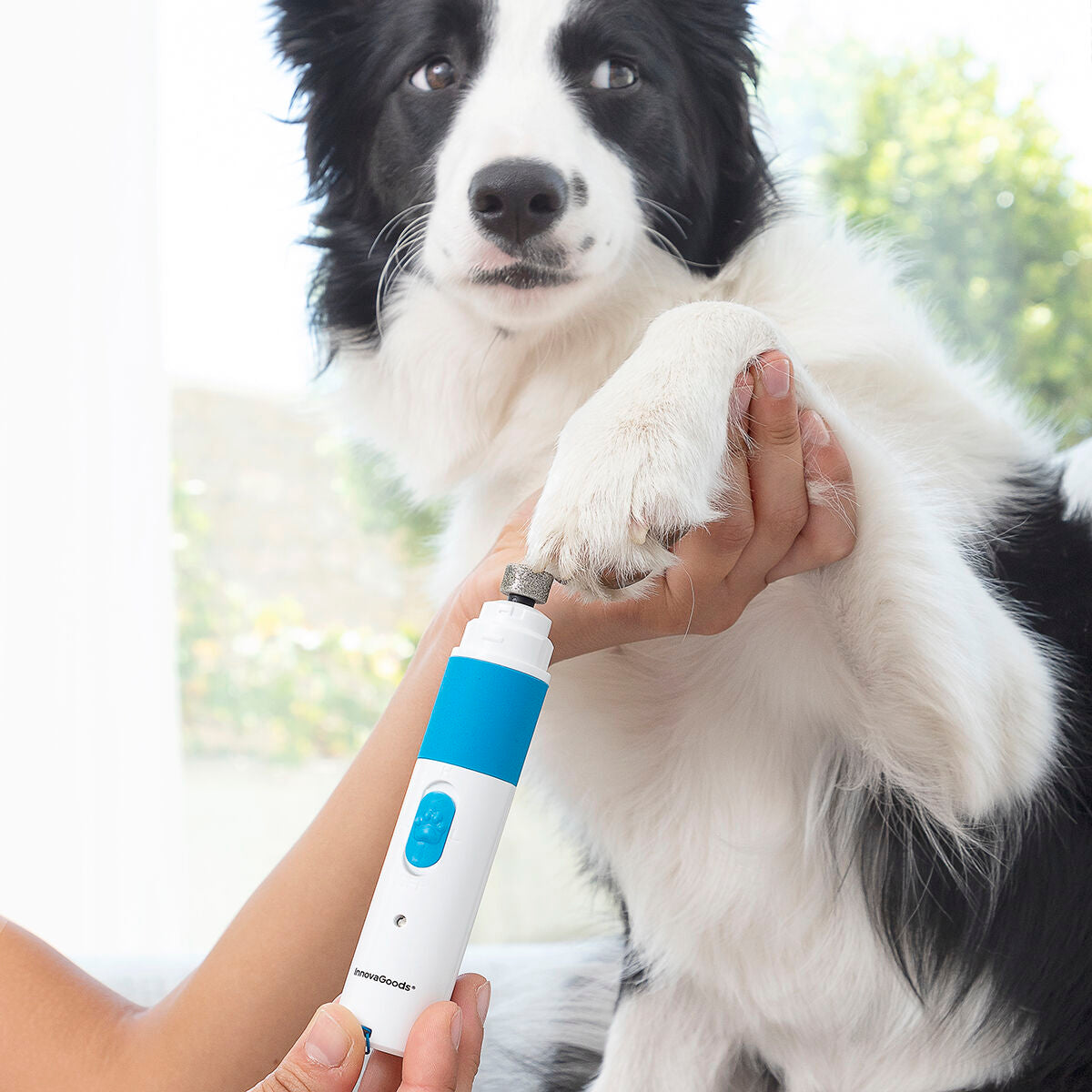 Rechargeable Pet Nail File Pawy