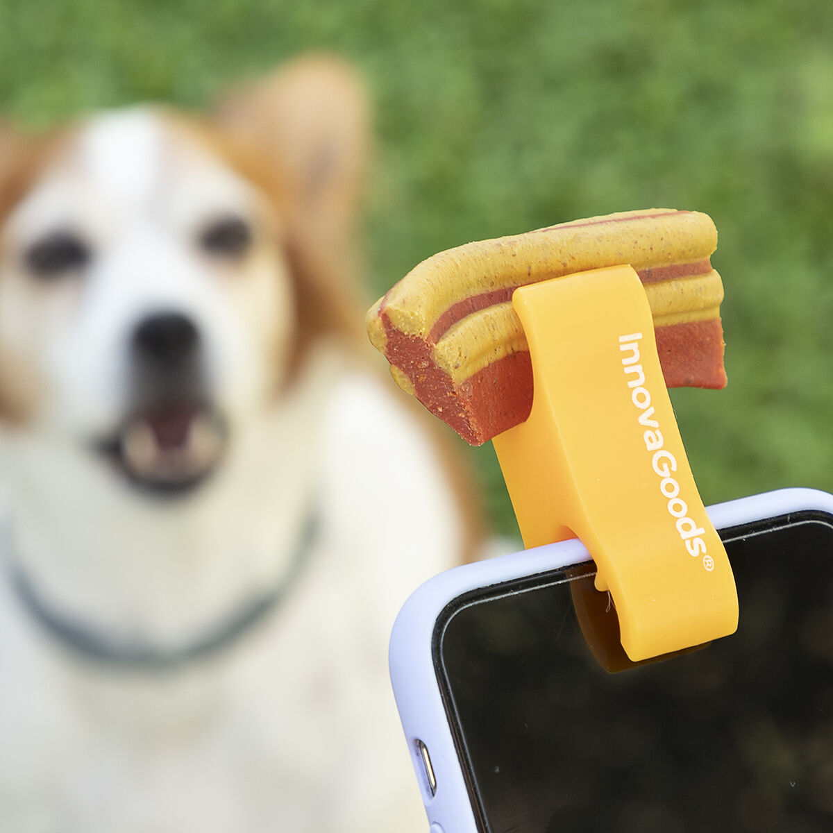 Selfie Clip for Pets