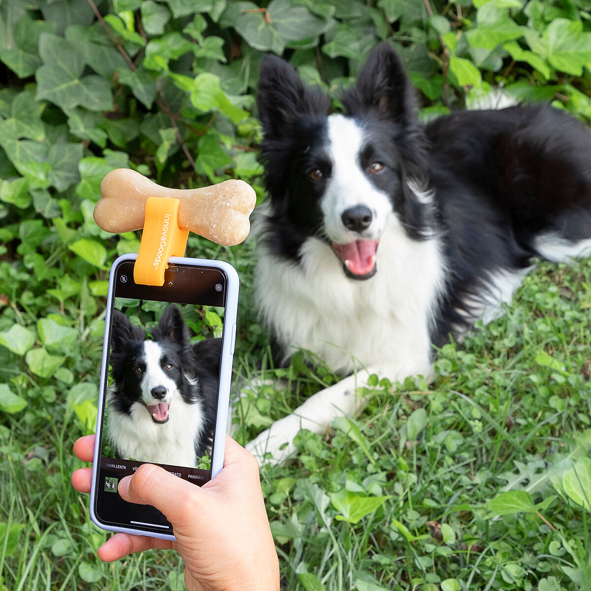 Selfie Clip for Pets
