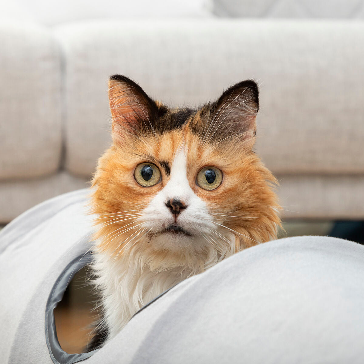 Collapsible Pet Tunnel Funnyl