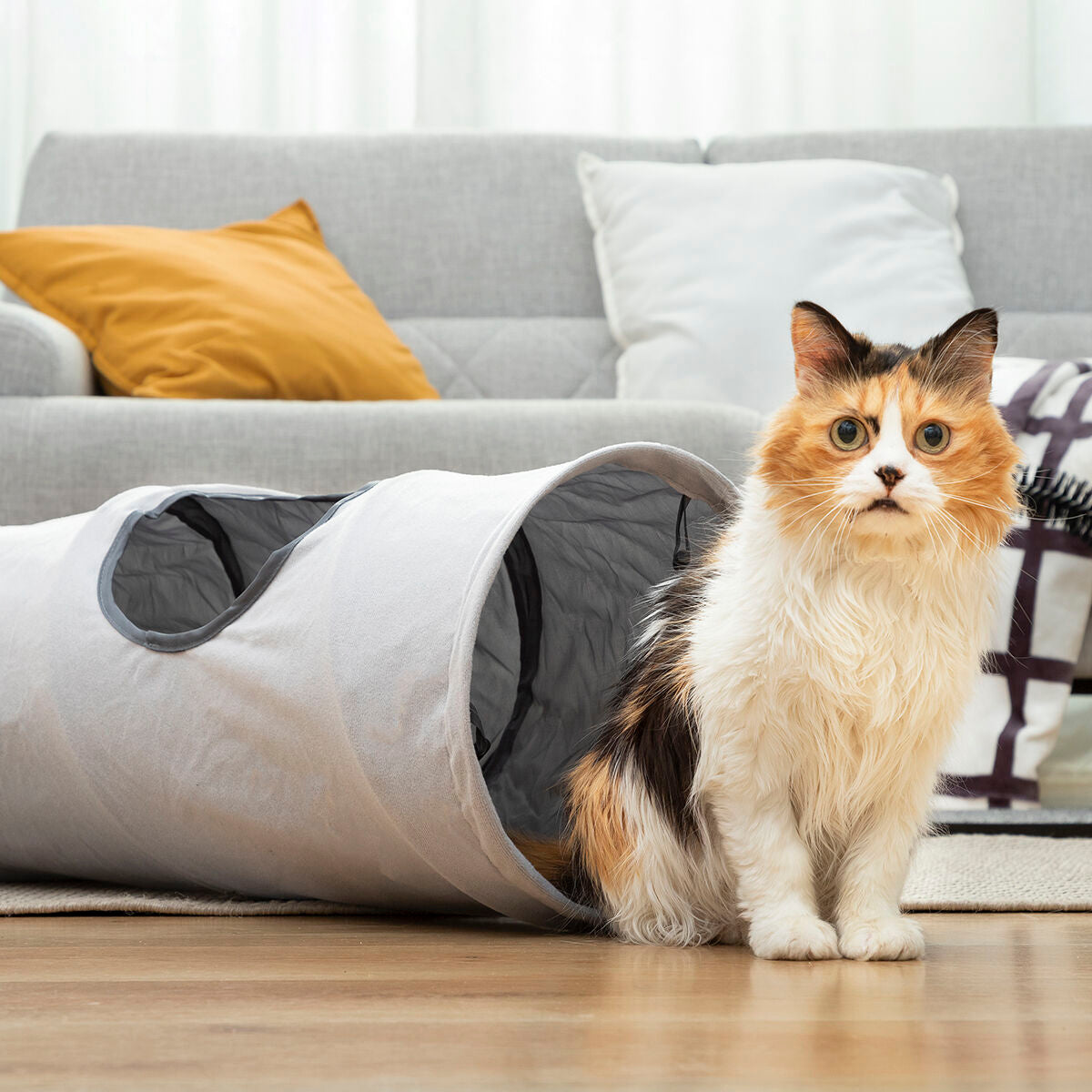 Collapsible Pet Tunnel Funnyl