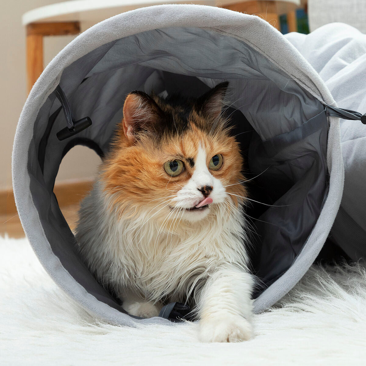 Collapsible Pet Tunnel Funnyl