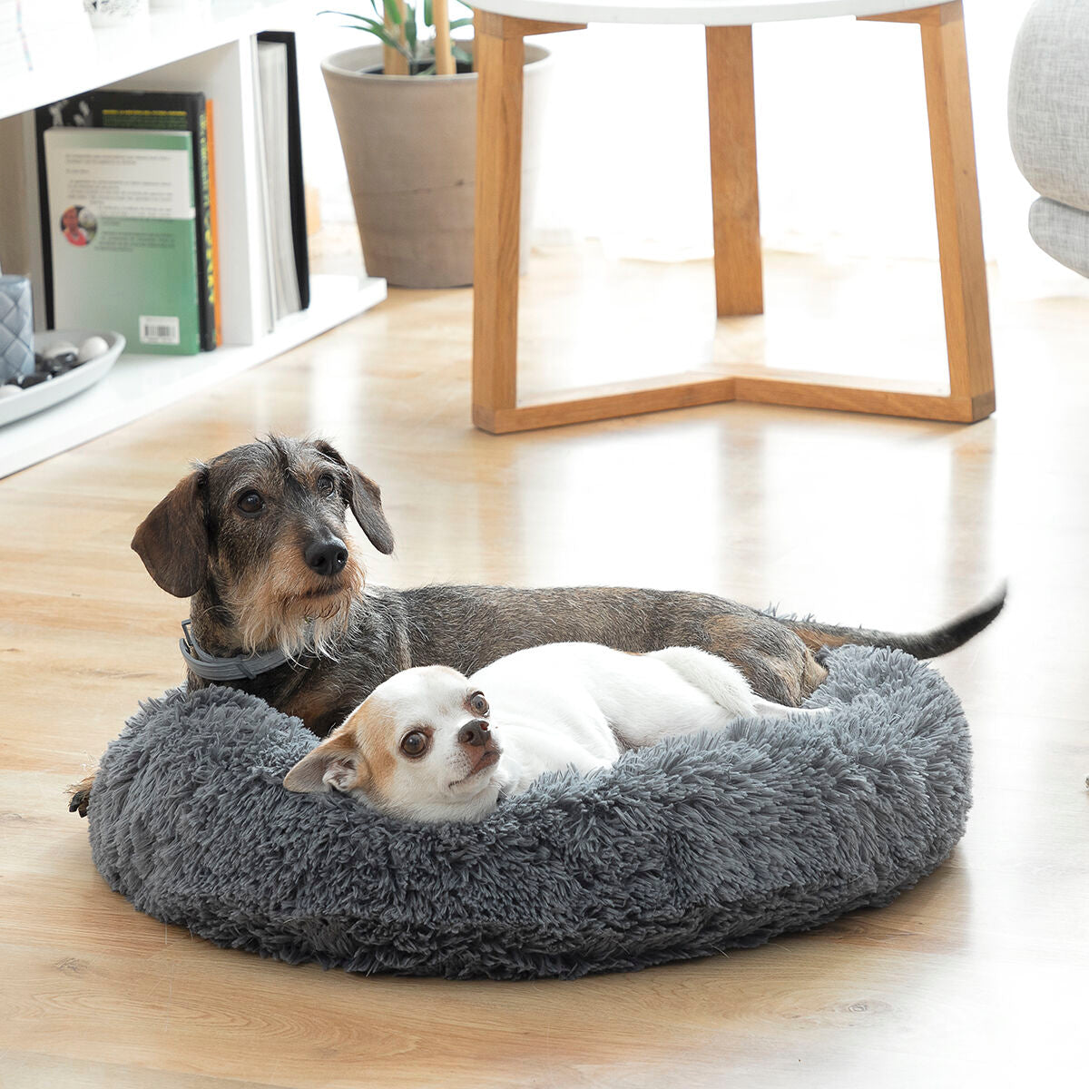 Anti-stress Pet Bed Bepess Ø 60 cm