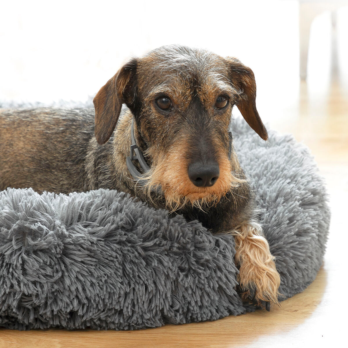 Anti-stress Pet Bed Bepess Ø 60 cm