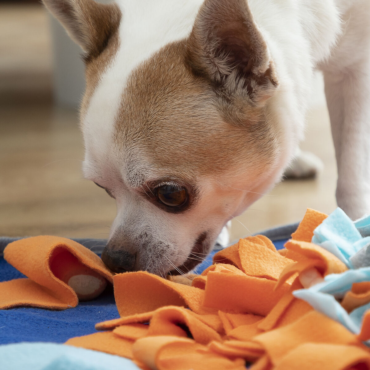 Sniffing Mat for Pets Fooland