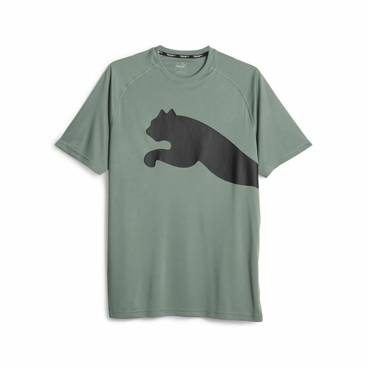 Herren Kurzarm-T-Shirt Puma 523863 44 grün (M)