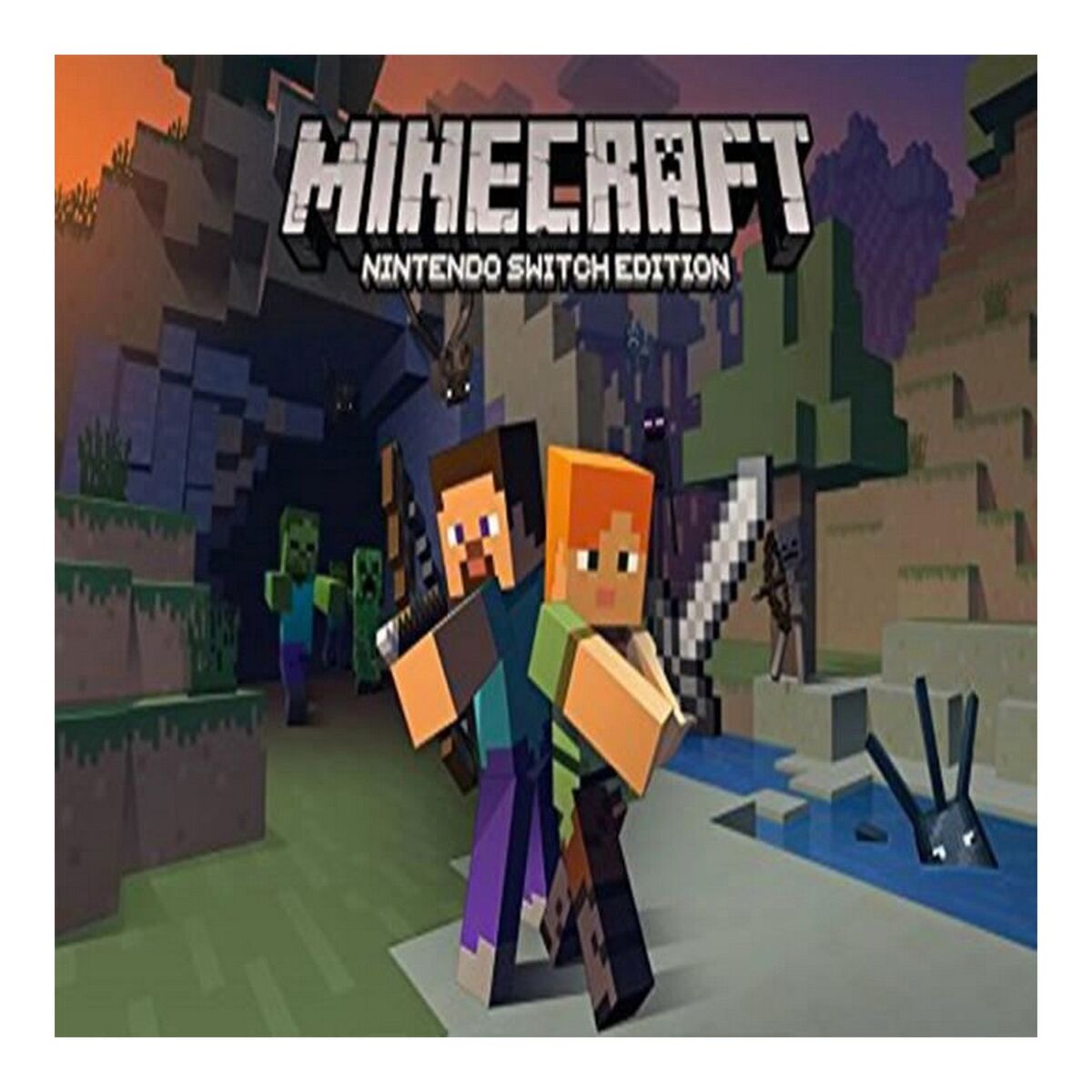 Video game for Switch Mojang Minecraft