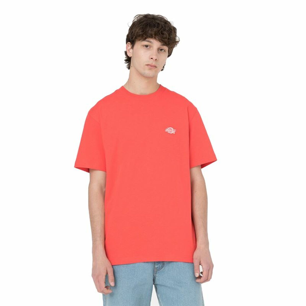 Short Sleeve T-Shirt Dickies Summerdale  Coral Men