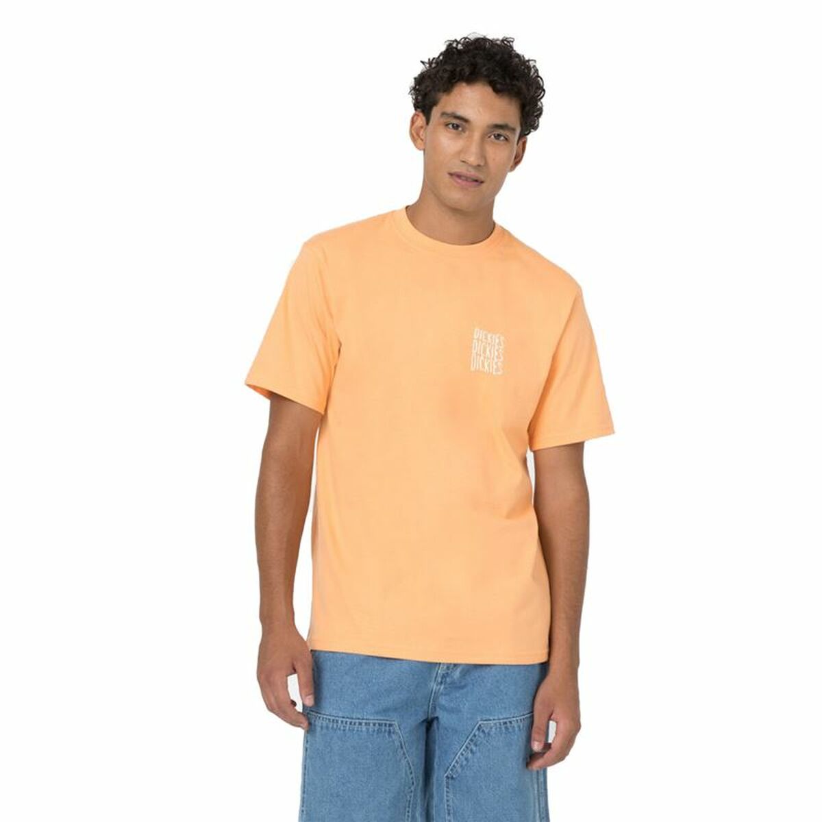 Short Sleeve T-Shirt Dickies Creswell Orange Men