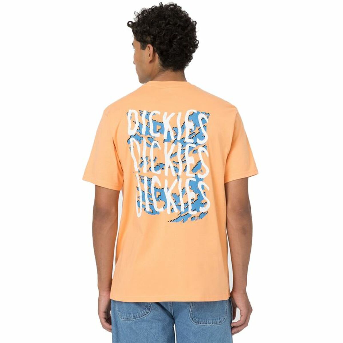 Short Sleeve T-Shirt Dickies Creswell Orange Men