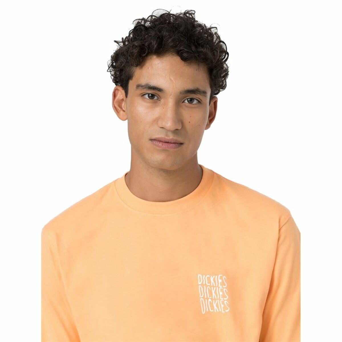 T shirt à manches courtes Dickies Creswell Orange Homme