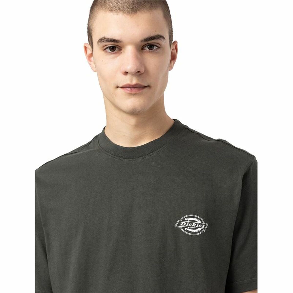 Kurzarm-T-Shirt Dickies Holtville  grün Herren