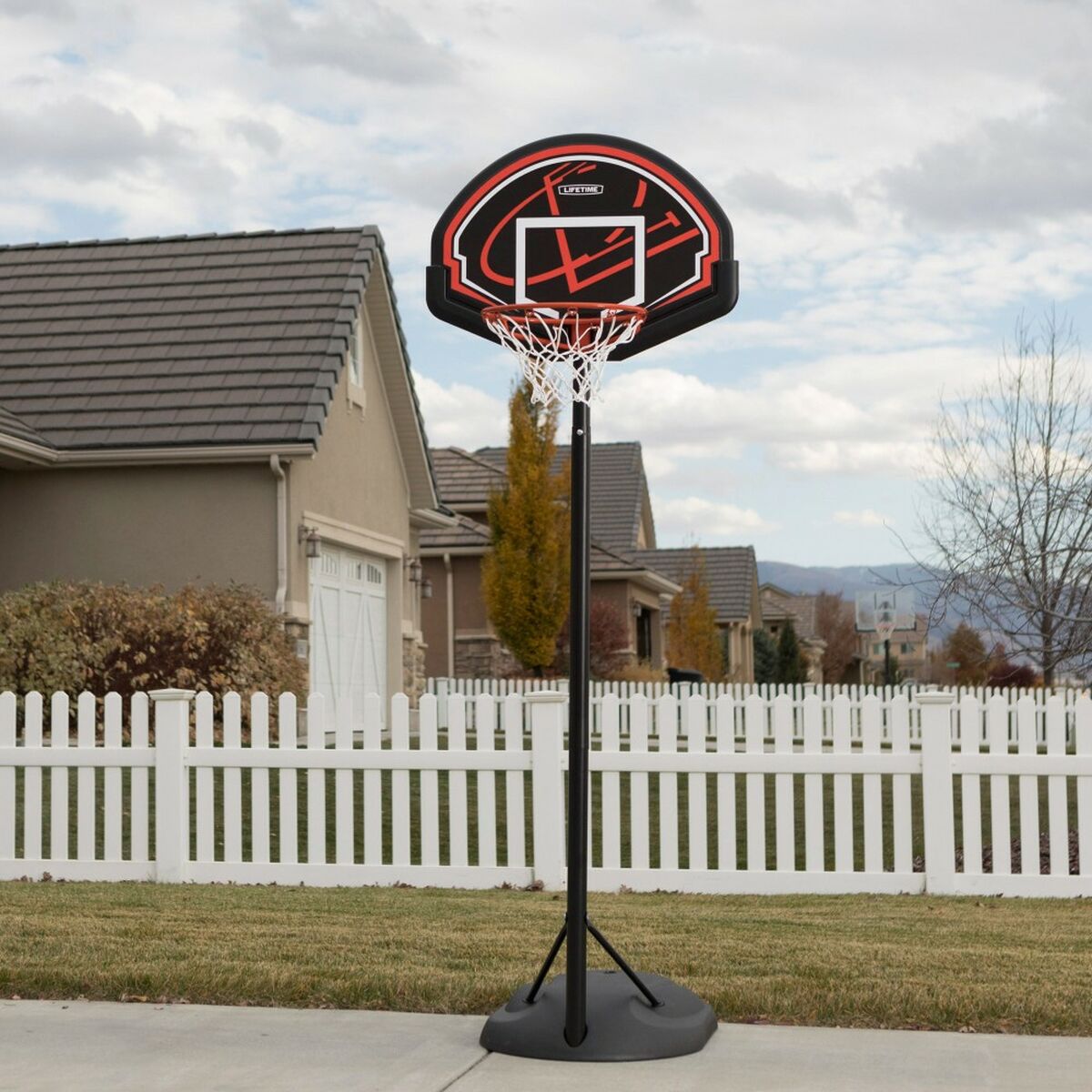 Panier de Basket Lifetime 81 x 229 x 83 cm