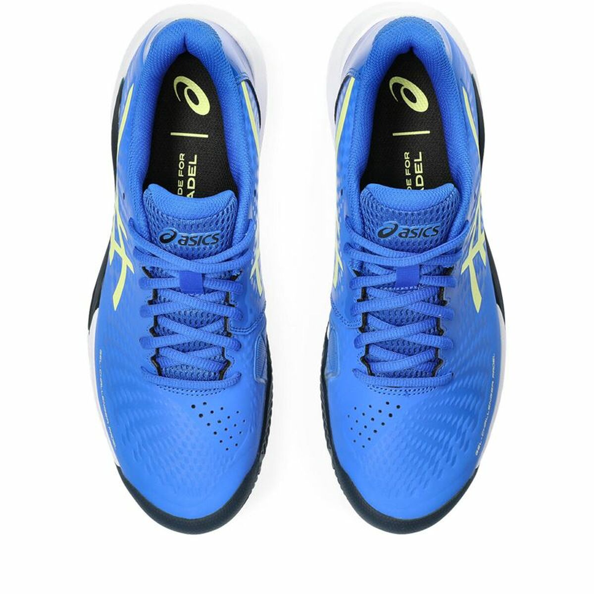 Chaussures de Padel pour Adultes Asics Gel-Challenger 14 Homme Bleu