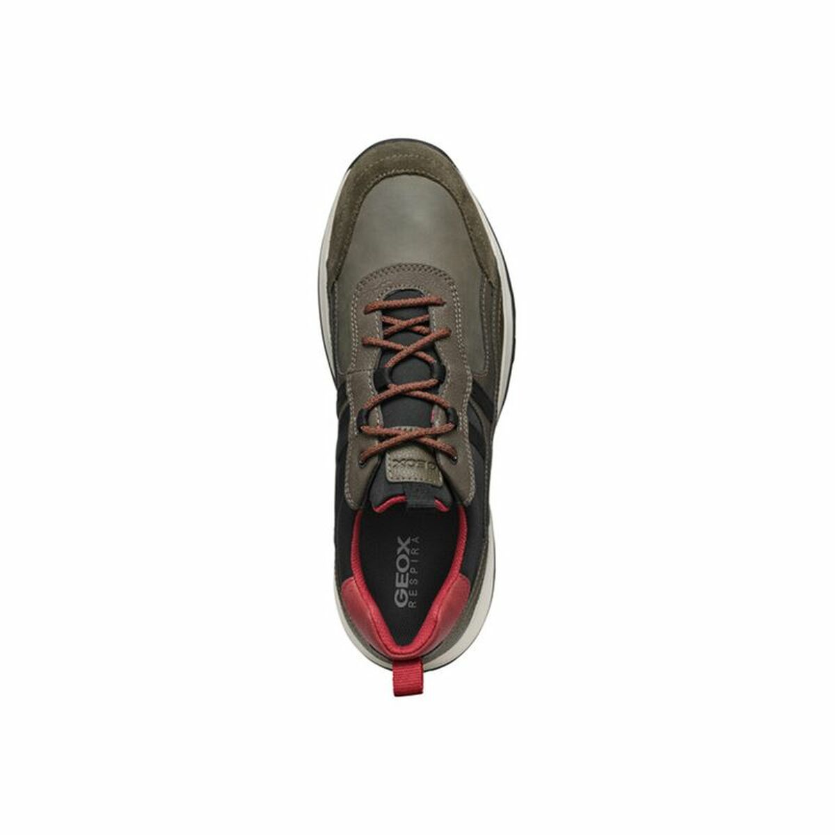 Herren Sneaker Geox Terrestre Braun