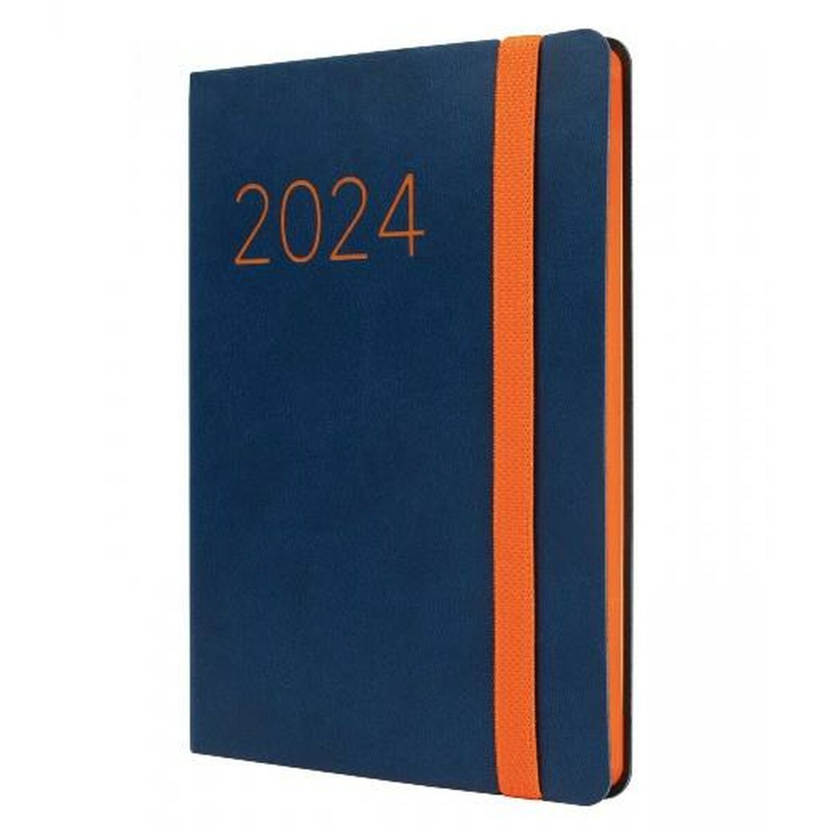 Tagesordnung Finocam Flexi 2024 Blau 11,8 x 16,8 cm