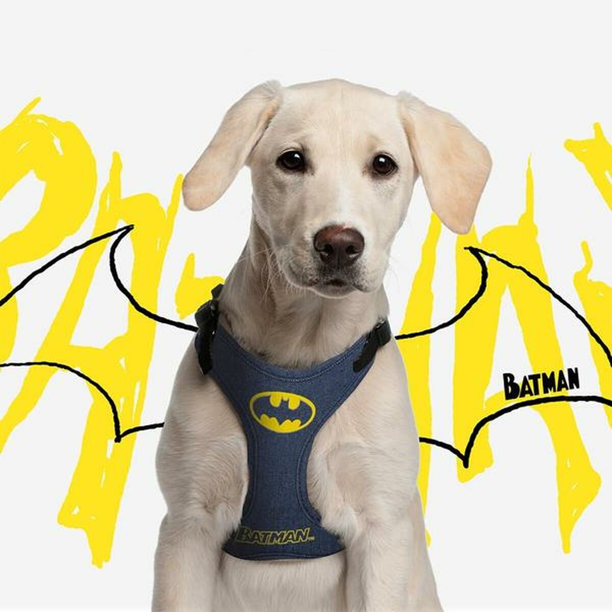 Dog Harness Batman XXS/XS Blue