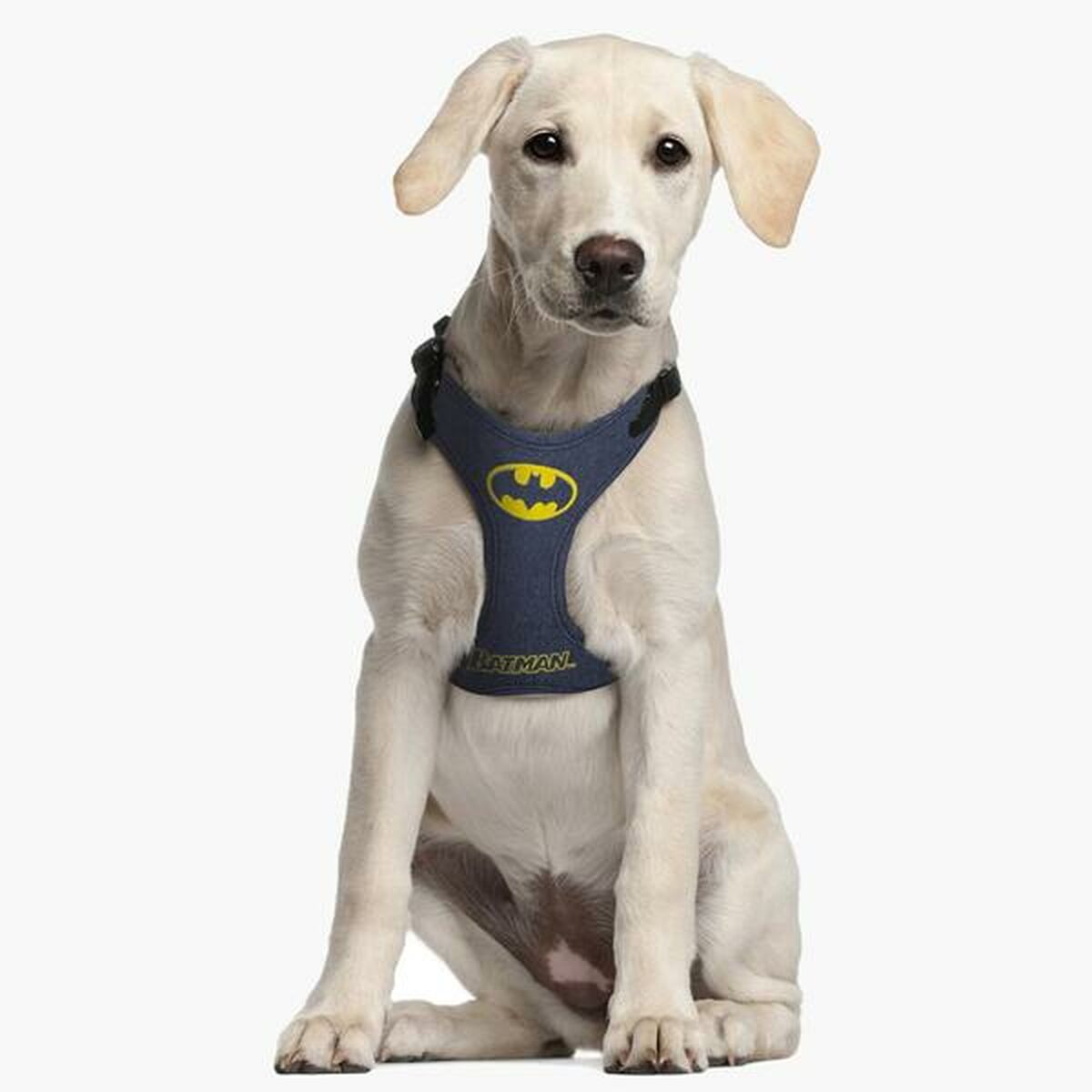 Dog Harness Batman Blue XS/S
