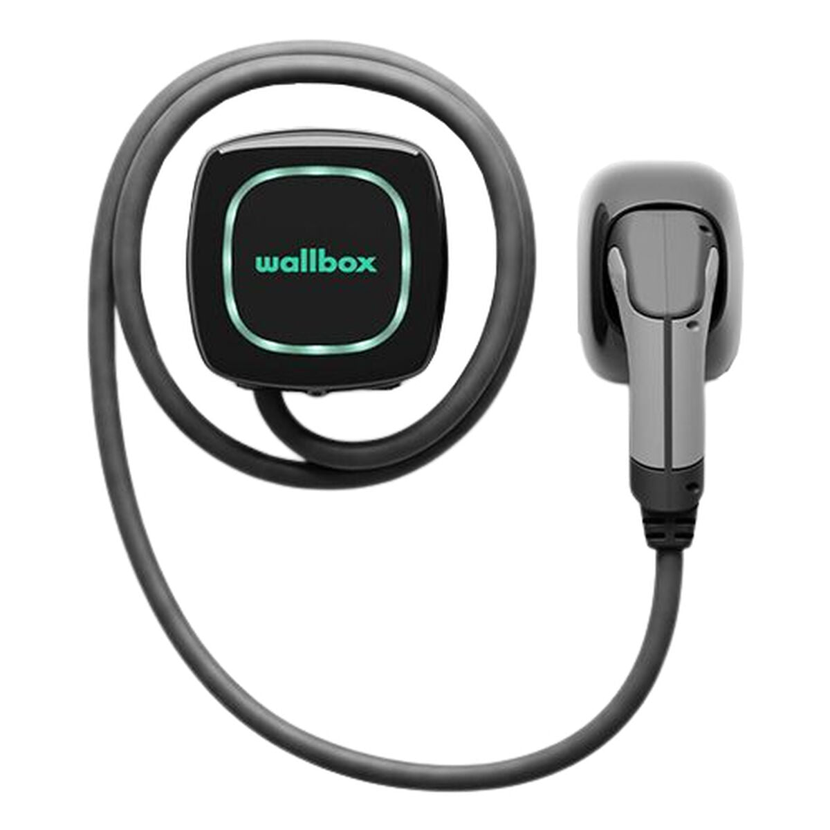 Chargeur de voiture Wallbox PLP1-0-2-4-9-002 7400 W (1 Unités)