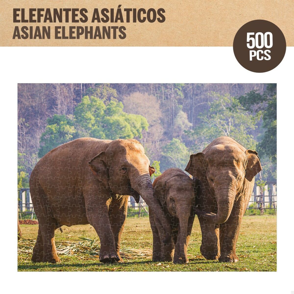 Puzzle Colorbaby Elephant 500 Pieces 6 Units 61 x 46 x 0,1 cm